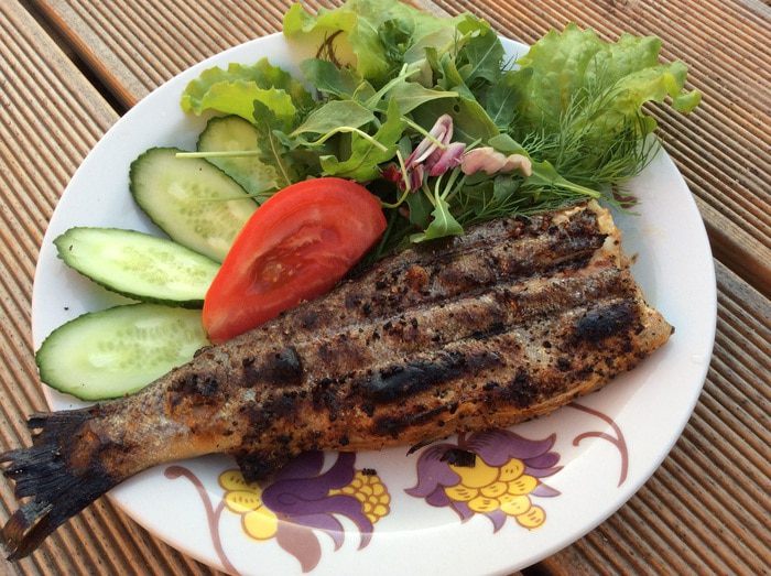 Радужная форель