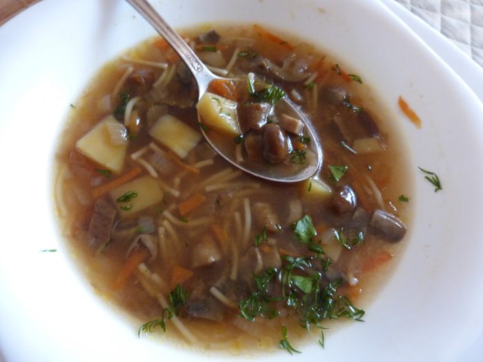 Грибной суп из трех видов грибов