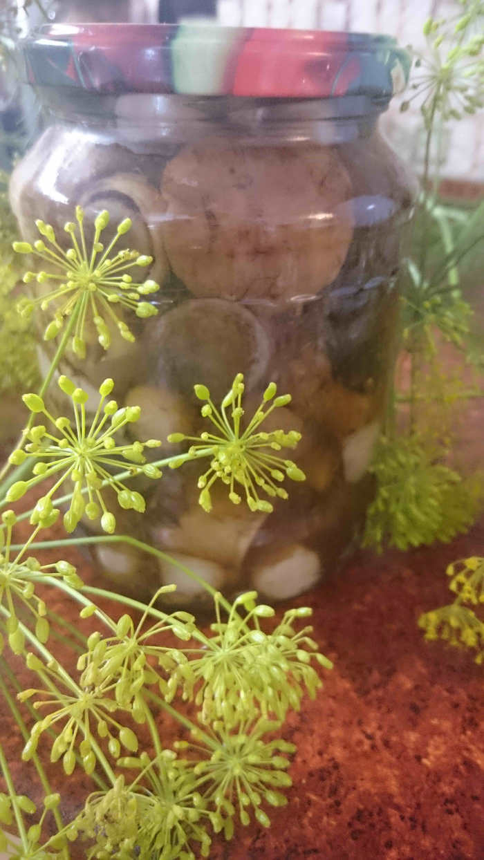 Маринованные подосиновики