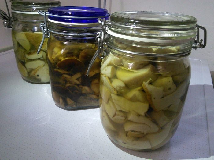 Маринованные грибы: белые, моховики 