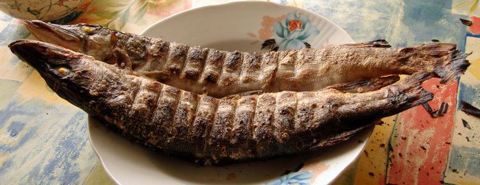 Щука на гриле