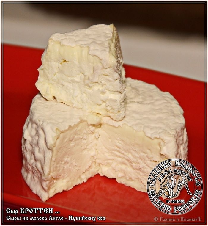 Сыр Кроттен из молока англо-нубийских коз