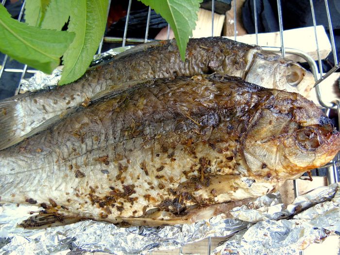 Рыбка-гриль