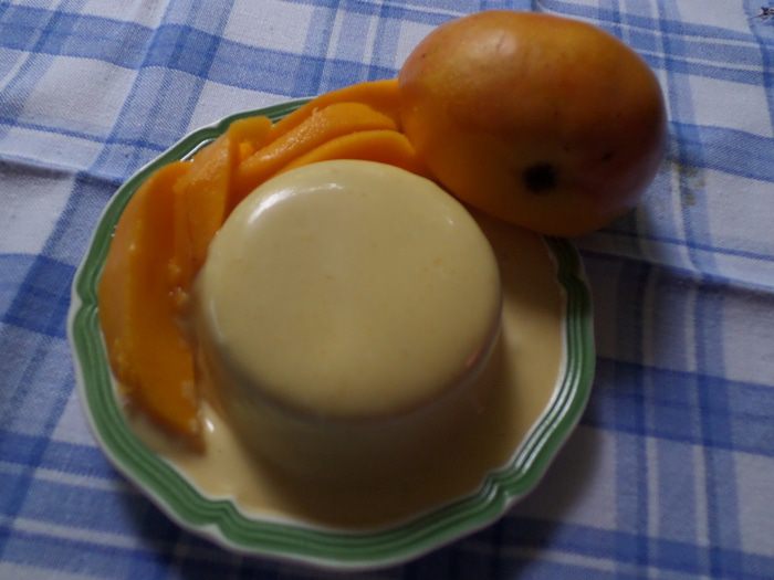 Панна котта с манго